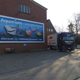 Willms Umzüge Spedition Lkw