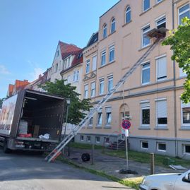 Willms Umzüge Spedition Lkw